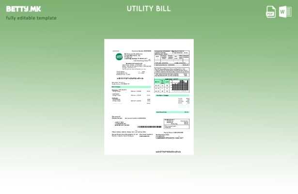 Модерен стил на САД Северозападен рурален електричен шаблон за комунални сметки